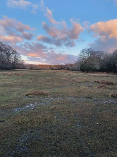 BAB0D170-4EF4-4F06-B4C5-83DEA1B1425D