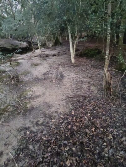 7C7B4778-ECFA-40F1-B6D5-262980CD2E79