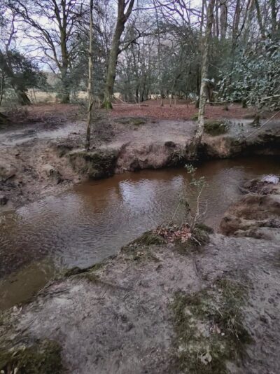 2AE980A3-B612-4556-879B-A68F8F349180