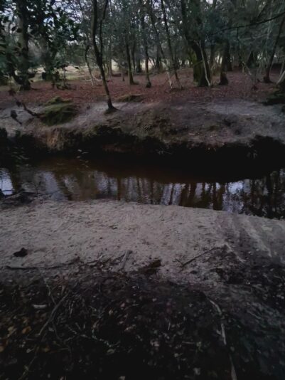 553129DD-14AC-416D-879E-9E3A07340B72