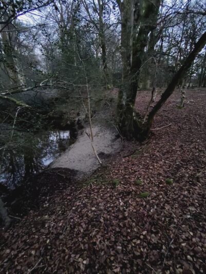 600A6A11-AB02-4210-A4E0-D8345729D892