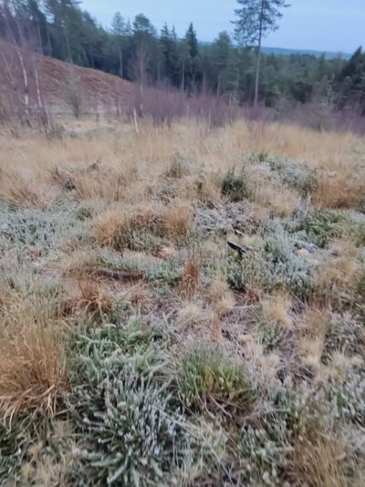 A2568F28-D03A-47F7-BF42-5233C5CD1B8F