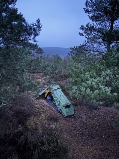 WhatsApp Image 2025-04-03 at 16.38.13_94c2cf04