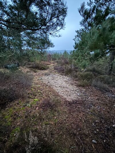 WhatsApp Image 2025-04-03 at 16.38.13_531a796b