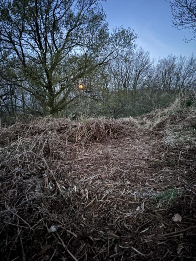 WhatsApp Image 2025-05-05 at 10.49.04_61c49b56