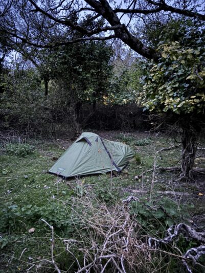 WhatsApp Image 2025-05-11 at 08.12.41_1c67332a