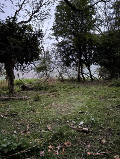 WhatsApp Image 2025-05-11 at 08.12.41_c6bd0f5f