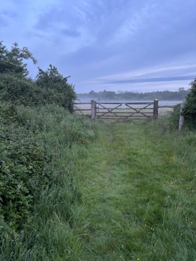 WhatsApp Image 2025-06-06 at 16.14.54_a583f0a6