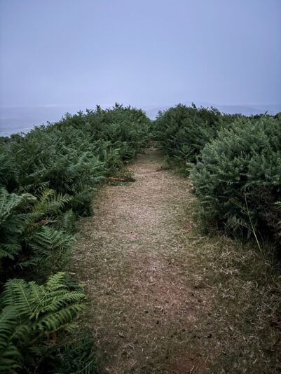 WhatsApp Image 2025-08-31 at 06.47.36_7810650d