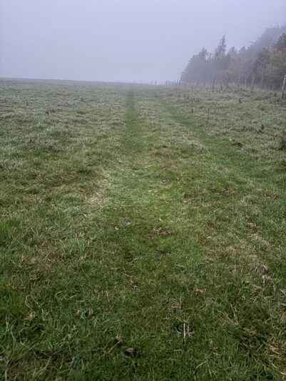 WhatsApp Image 2025-11-16 at 12.46.02 (3)