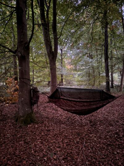 WhatsApp Image 2025-12-15 at 17.22.45 (2)