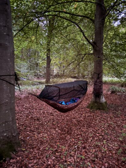 WhatsApp Image 2025-12-15 at 17.22.45 (3)