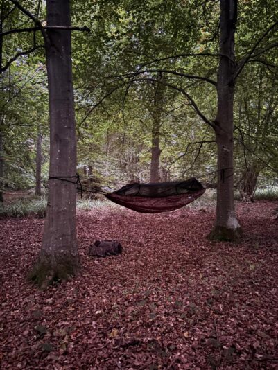 WhatsApp Image 2025-12-15 at 17.26.19