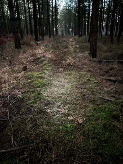 WhatsApp Image 2025-12-29 at 09.56.38 (1)