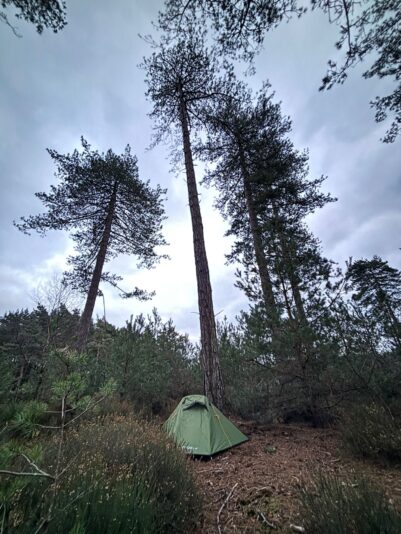 WhatsApp Image 2026-01-18 at 07.37.46 (2)