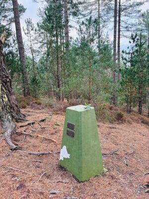 WhatsApp Image 2026-01-18 at 07.49.40