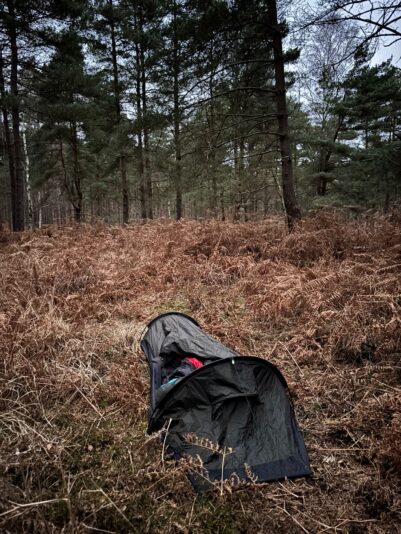 WhatsApp Image 2026-03-08 at 12.01.50