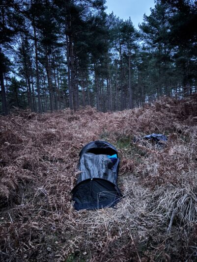 WhatsApp Image 2026-03-08 at 12.01.49 (1)