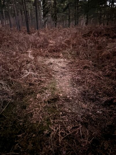 WhatsApp Image 2026-03-08 at 12.01.50 (2)