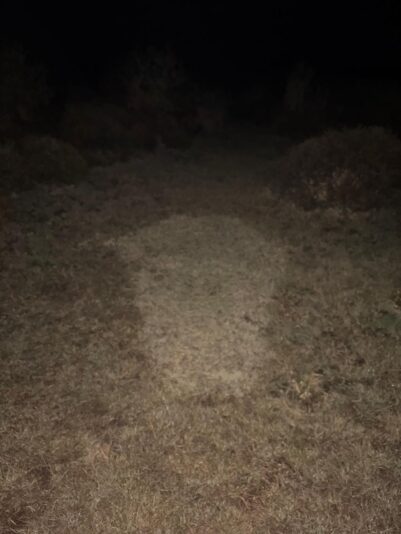 WhatsApp Image 2026-03-22 at 08.57.41 (3)