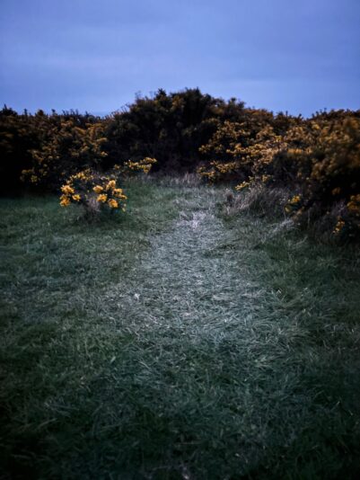 WhatsApp Image 2026-03-30 at 17.16.57