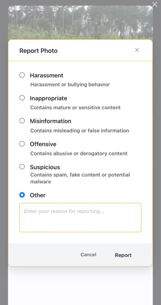 A list of reasons when report a photo