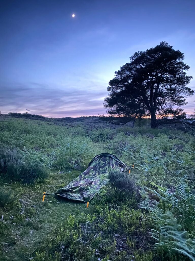 A Dutch hooped bivi camp, on a narrow path, surrounded by ferns in the New Forest