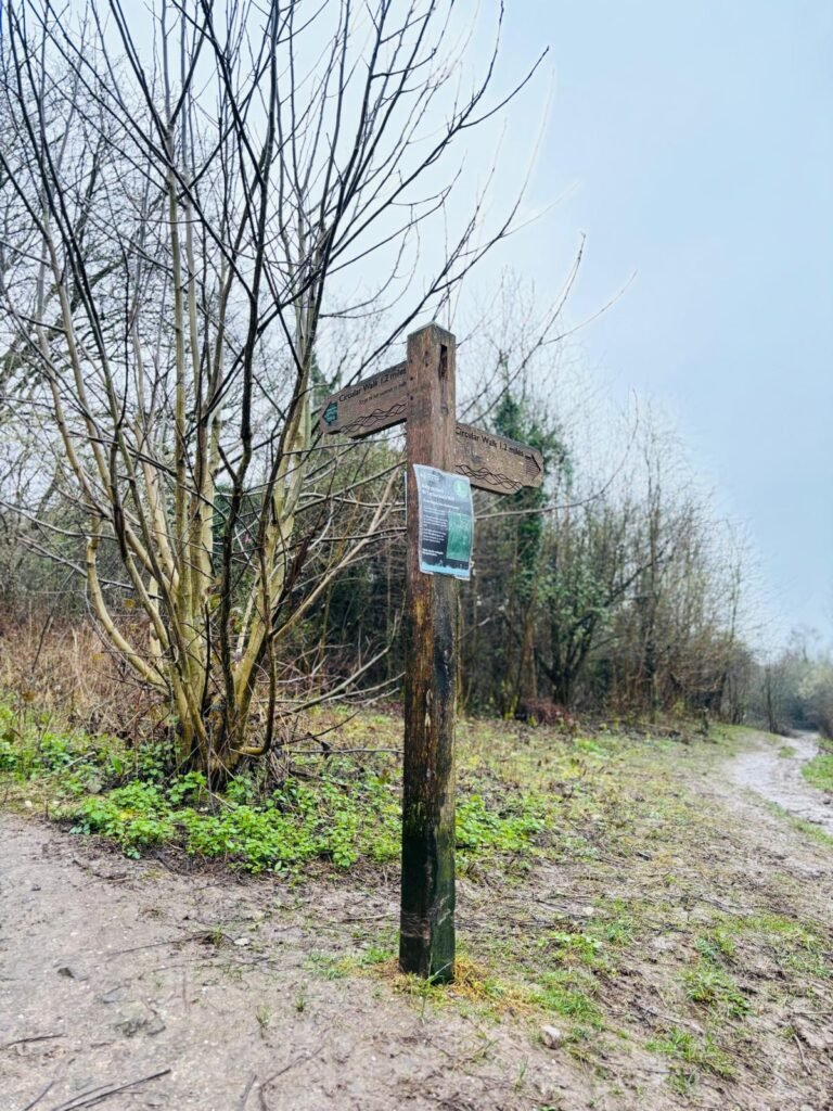 A wooden finger post sign at St Catherine's Hill in Winchester, pointing to the top and circular walks. 