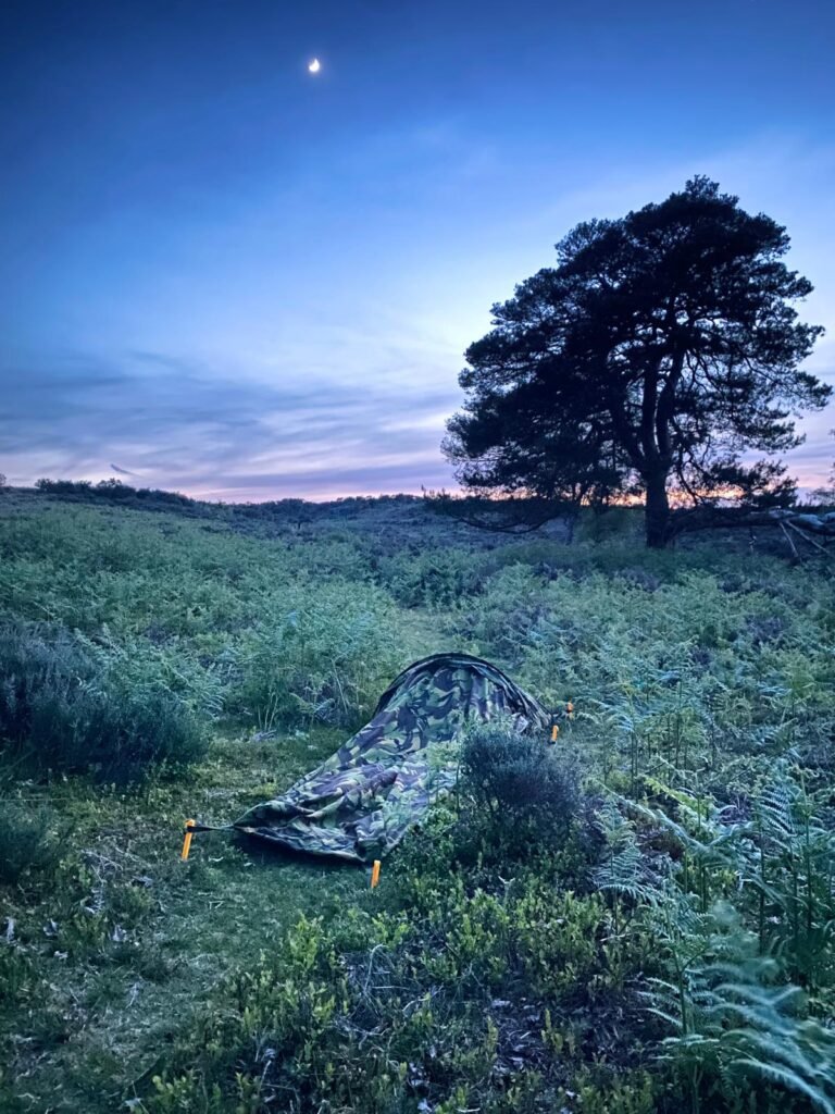 Dutch hooped bivvy camouflaged in bracken with a tree on the horizon under a moon ona  dusk during a UK wild camping trip
