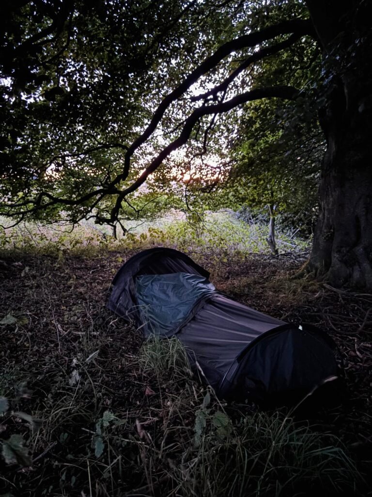 Nortent Skjul tucked beneath a mature tree in a quiet woodland with bluebells beyond