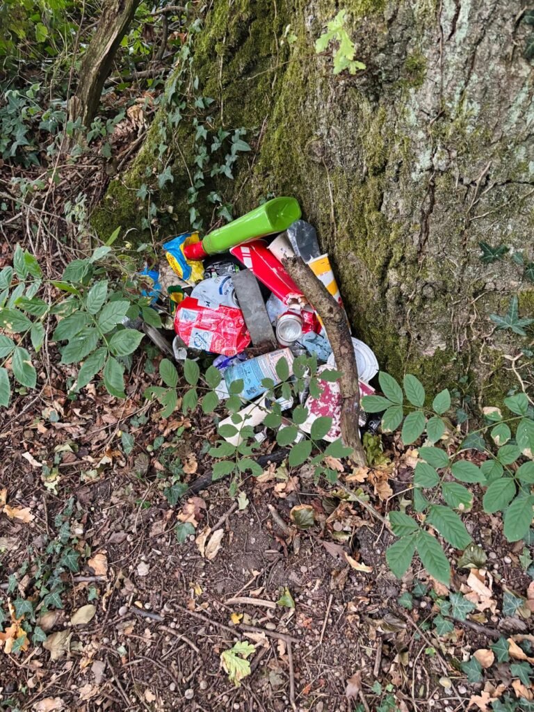 Pile of cans and plastic bottles collected from the countryside, disposed at the base of a tree during a wild camping litter pick