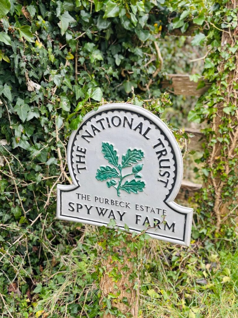 National Trust plaque at Spyway Farm featuring oak leaves and acorn emblem