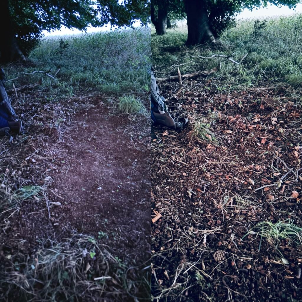 Before and after collage of wild camping spot showing ground after bivvy removed and restored with natural forest debris