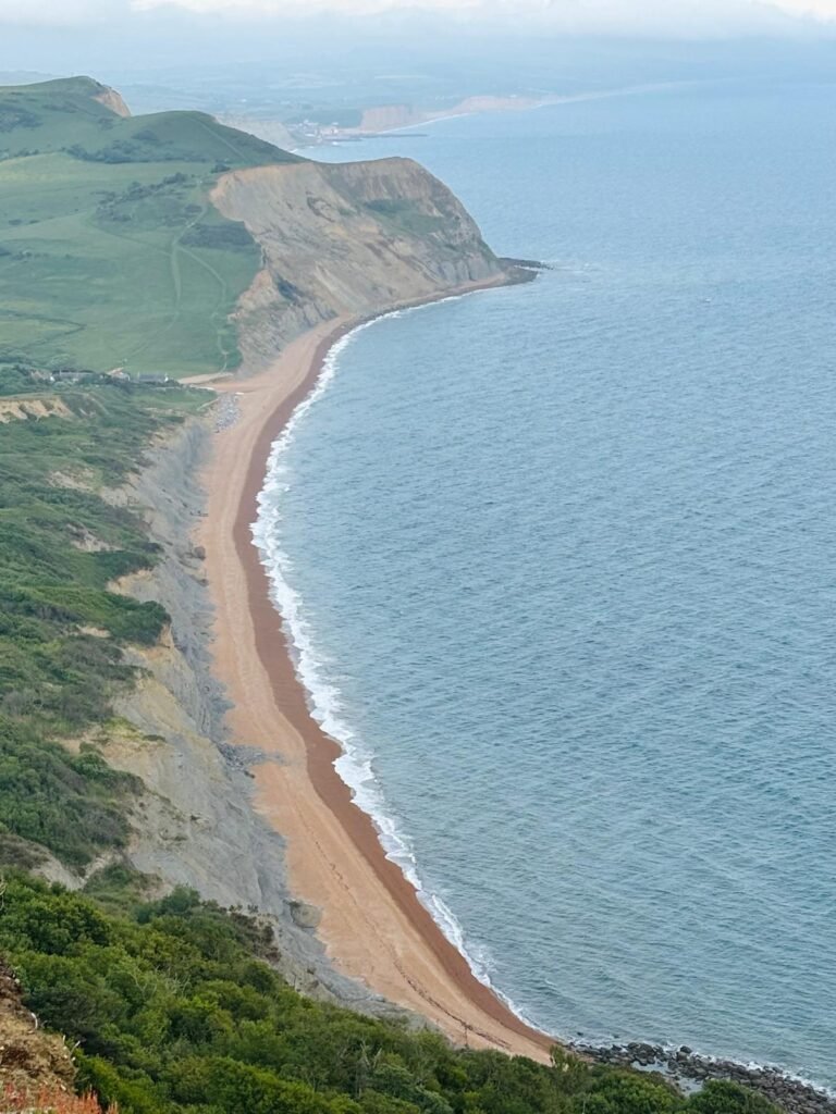 View from Golden Cap looking down over Seatown Beach and the Jurassic Coast in Dorset