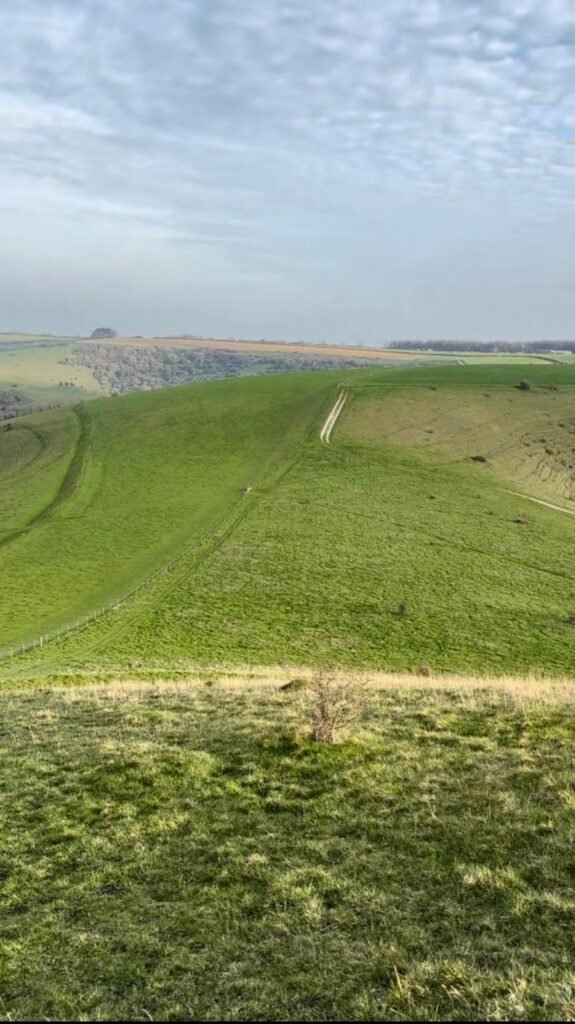 Rolling hills from Melbury Hill towards Melbury Down and Compton Abbas Airfield