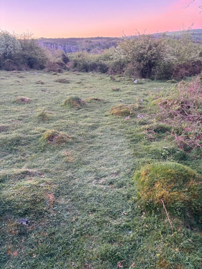 flattened grass where bivvy was set up showing minimal impact