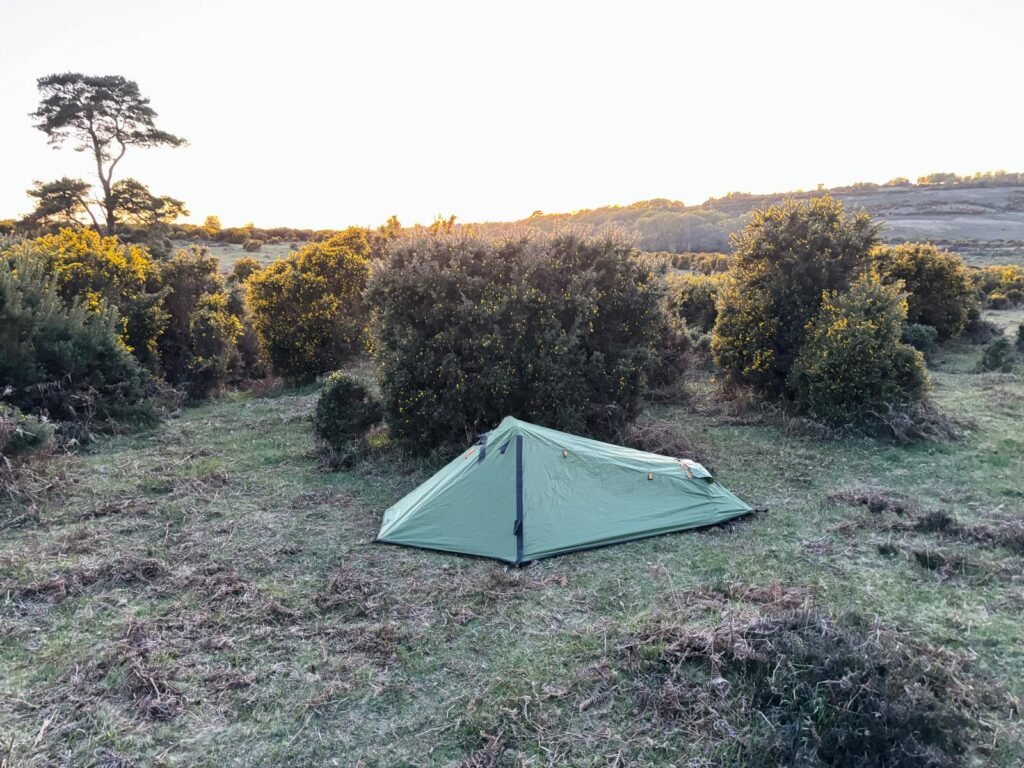 oex phoxx 1 v2 tent set up at dusk in gorse bushes