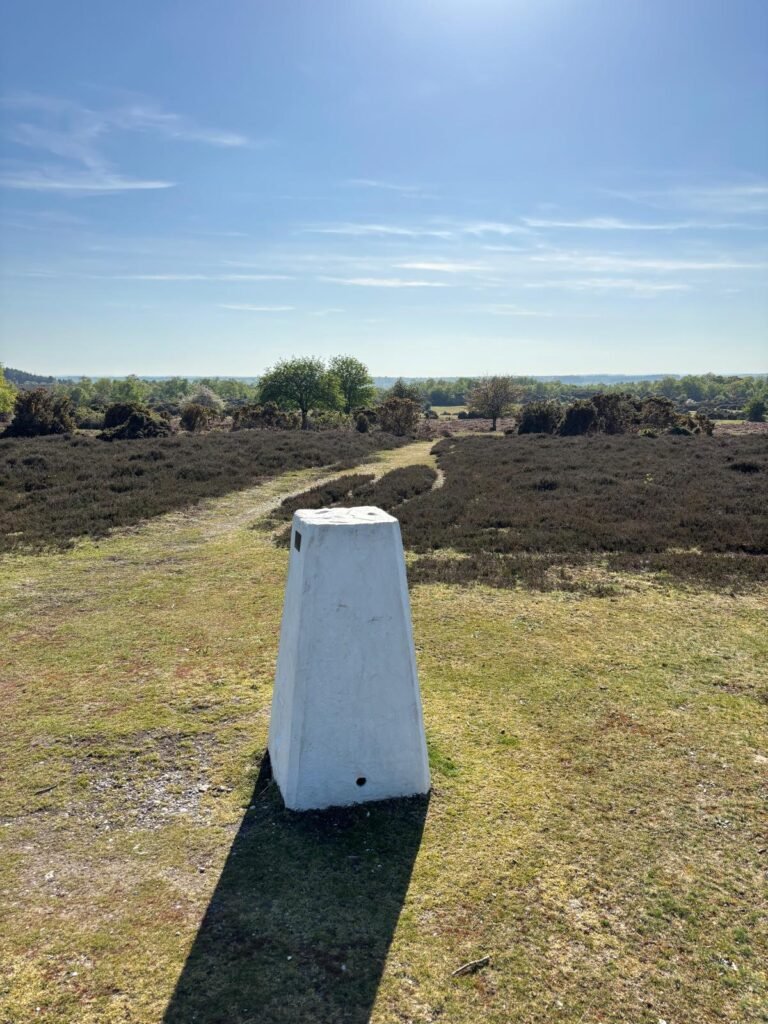 TP4094 Ibsley Common trig point in the New Forest