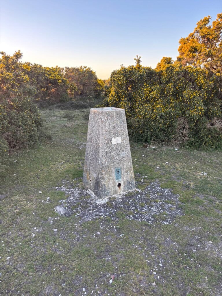 TP0741 Blissford trig point surrounded by gorse bushes
