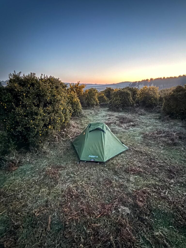 Wild camping tent at dawn among gorse bushes in the New Forest