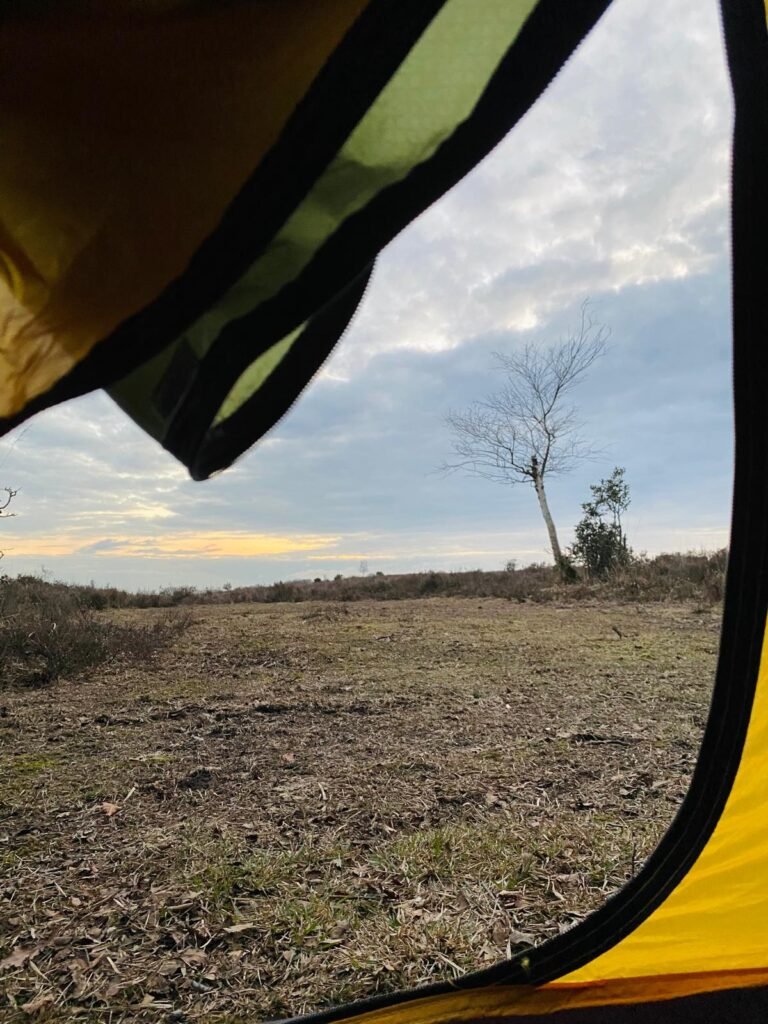 View from inside OEX Phoxx 1 V2 tent looking out across heathland