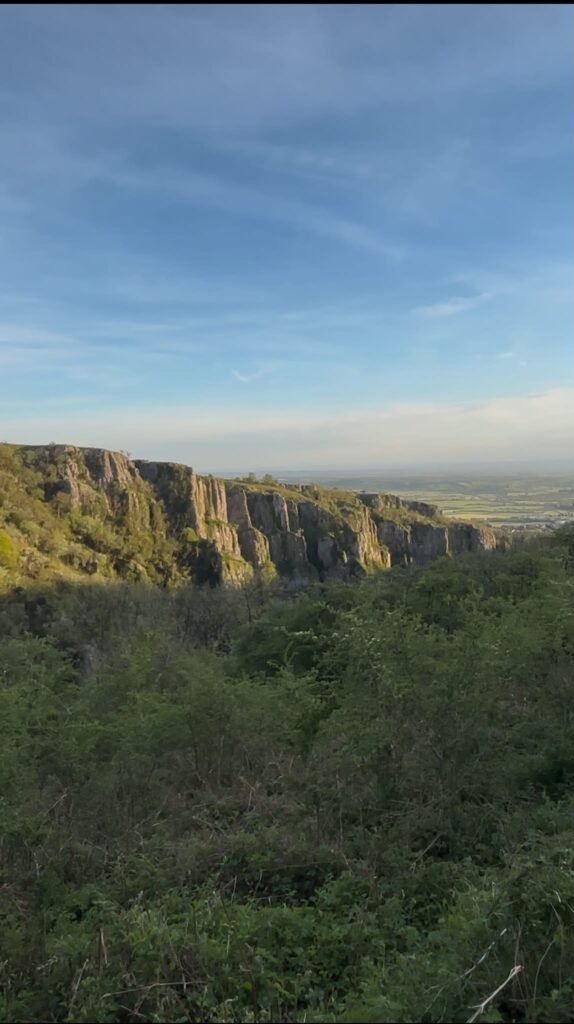 Looking across Cheddar Gorge towards the exposed grassy cliff tops on the opposite side