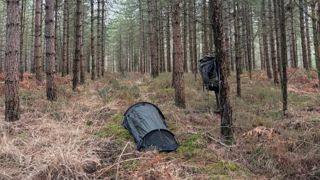 Nortent Skjul bivvi set up in a dense pine forest with dried ferns covering the ground and a backpack hanging from a nearby tree