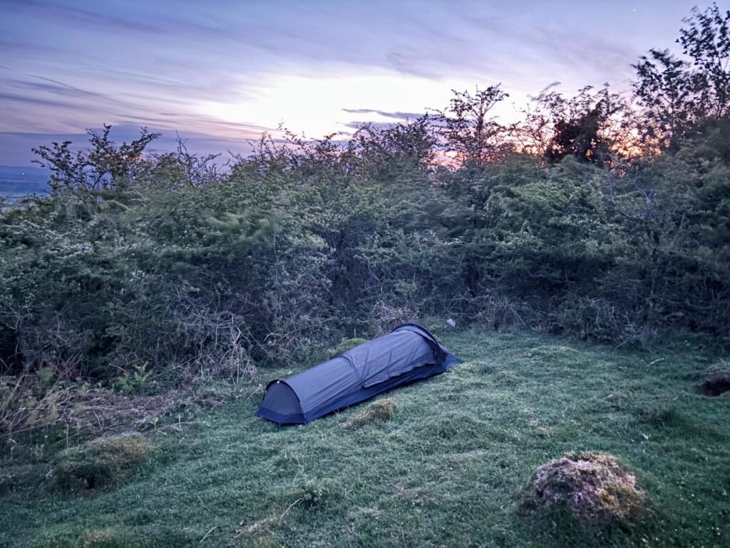 Nortent Skjul bivvi pitched on grass beside large hawthorn bushes at dawn, with a clear sky overhead and early orange light visible through the branches.