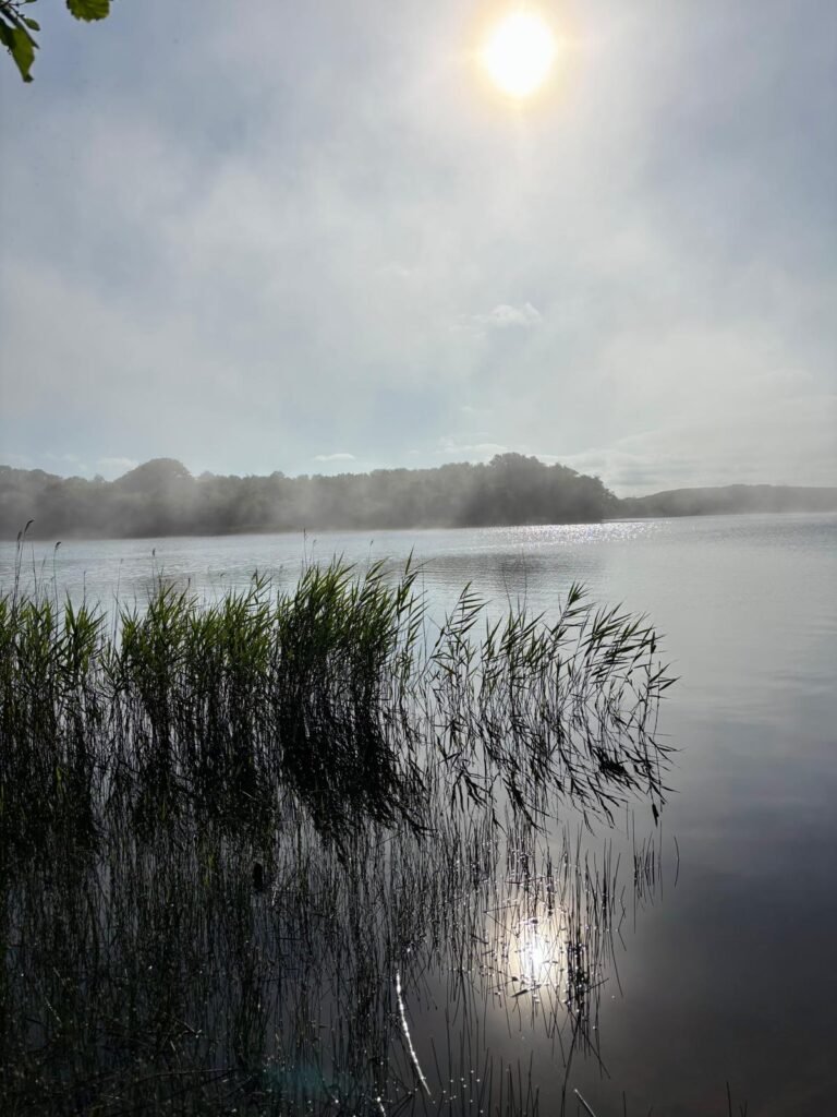 Mist drifting across Little Sea with reeds in the foreground and sunlight reflecting on the water.