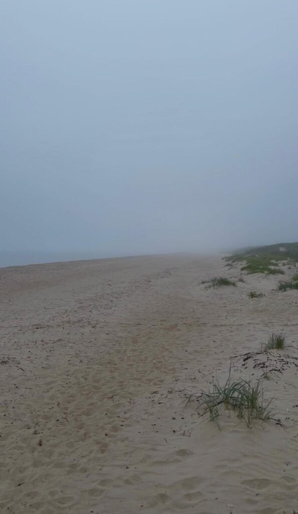 An empty mist-covered beach at Studland on a quiet morning.