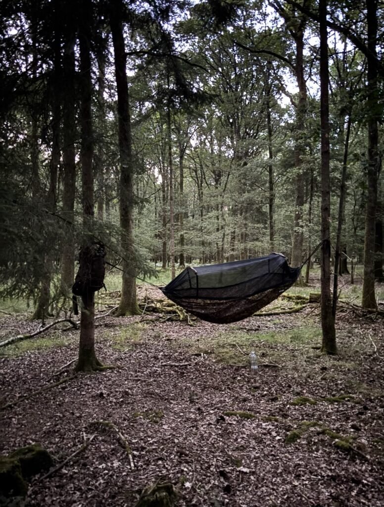 A DD Hammock set up between two trees in Bentley Wood with a backpack hanging nearby.