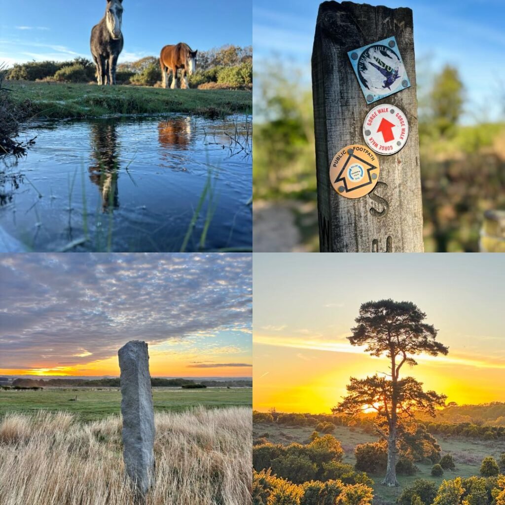 Collage of horses reflected in icy water, a woodland route sign, Long Tom stone at dawn and a tree silhouetted against an orange sky.