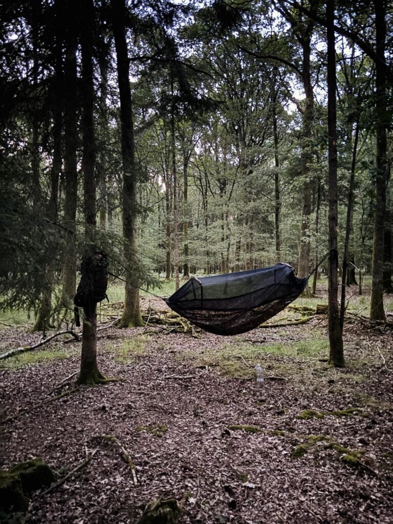 A DD Hammock set up between two trees in Bentley Wood with a backpack hanging nearby.