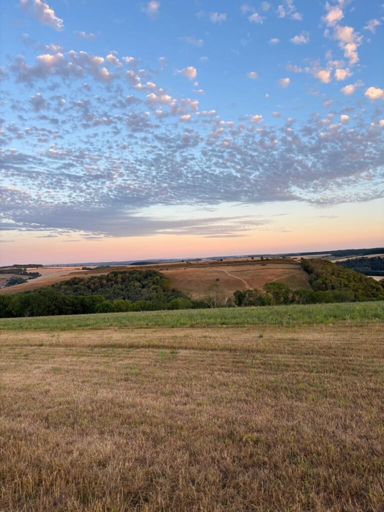 Summer colours between Hambledon Hill and Hod Hill in Dorset